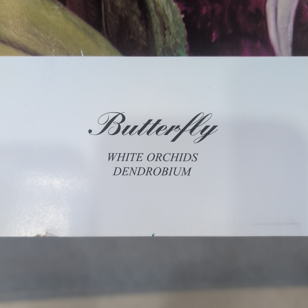 Sonia Torres Butterfly White Orchids‎ Dendrobium Artist Print Signed Limited Ed - Picture 5 of 8